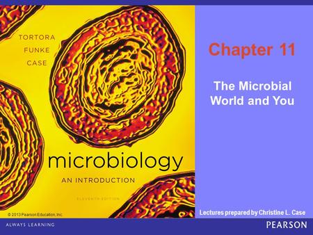 The Microbial World and You Lectures prepared by Christine L. Case