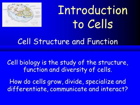 Cell Structure and Function