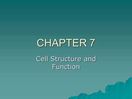 Cell Structure and Function