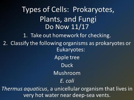 Types of Cells: Prokaryotes, Plants, and Fungi Do Now 11/17 1.Take out homework for checking. 2.Classify the following organisms as prokaryotes or Eukaryotes: