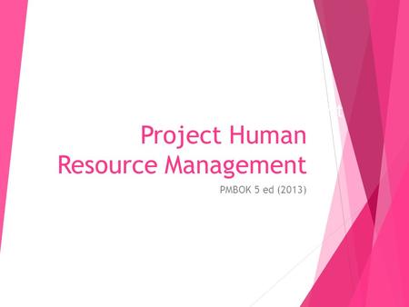 Project Human Resource Management