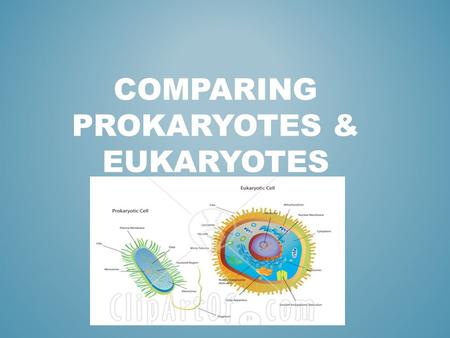 COMPARING PROKARYOTES & EUKARYOTES. PROKARYOTESEUKARYOTES CYTOPLASM Cell Membrane DNA Always single- celled No Nucleus DNA is a simple, Single loop Small.