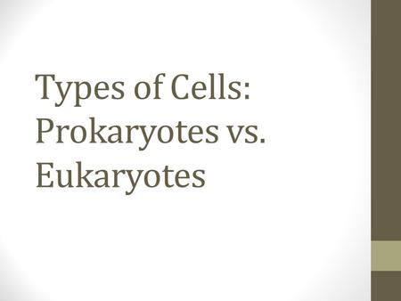 Types of Cells: Prokaryotes vs. Eukaryotes. Basic Parts of ALL Cells 1.Plasma membrane Serves as the outer boundary of the cell.