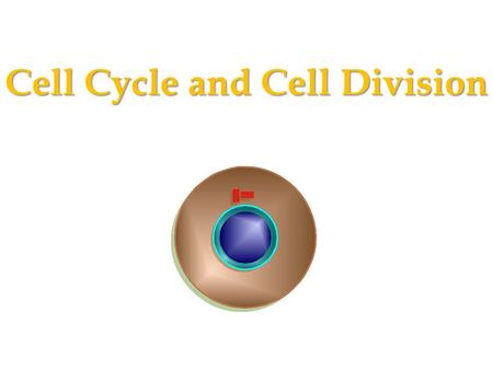 Cell Cycle and Cell Division