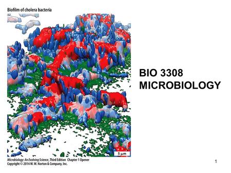 BIO 3308 MICROBIOLOGY.