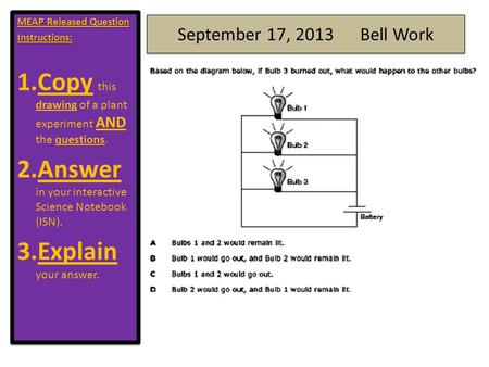 Copy this drawing of a plant experiment AND the questions.