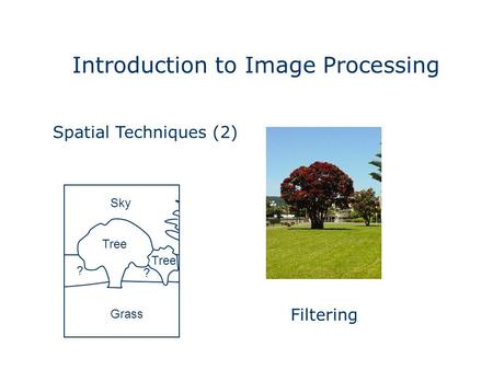 Introduction to Image Processing Grass Sky Tree ? ? Spatial Techniques (2) Filtering.