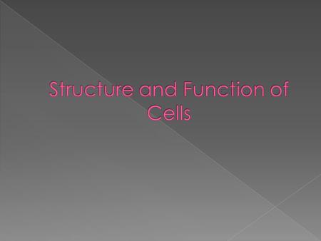 Structure and Function of Cells