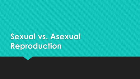 Sexual vs. Asexual Reproduction