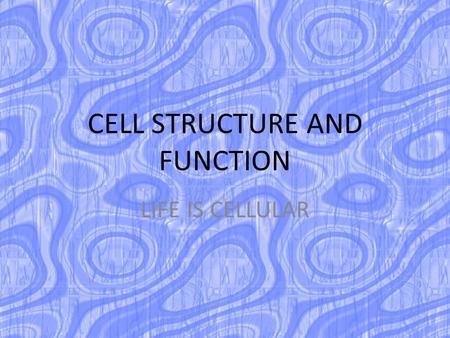 CELL STRUCTURE AND FUNCTION