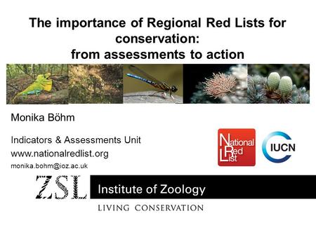 Monika Böhm Indicators & Assessments Unit  The importance of Regional Red Lists for conservation: from assessments.