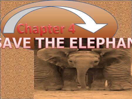 Some animals are extinct ( they no more live on earth). Some are endangered ( face the danger of being extinct). And some are not in danger. We should.