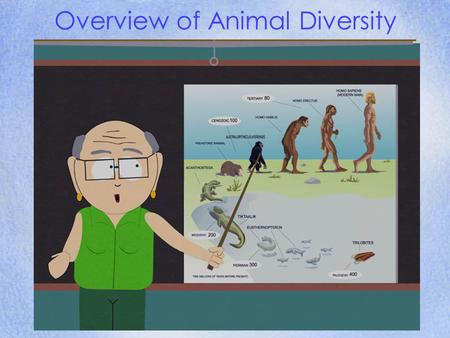 Overview of Animal Diversity