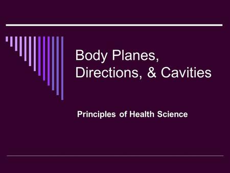 Body Planes, Directions, & Cavities