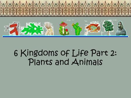 6 Kingdoms of Life Part 2: Plants and Animals