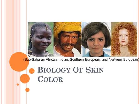 B IOLOGY O F S KIN C OLOR (Sub-Saharan African, Indian, Southern European, and Northern European)