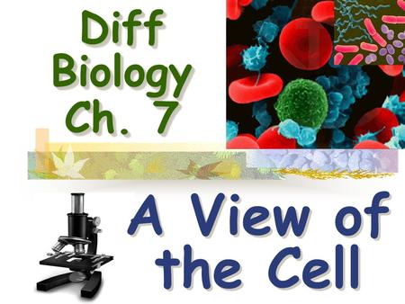 Diff Biology Ch. 7 A View of the Cell. CH. 7 A View of the Cell A.History -before 1600 ’s - fiber/tissue thought to be the basic unit of life -spontaneous.