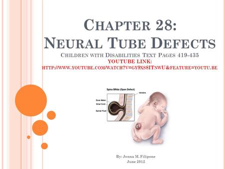 C HAPTER 28: N EURAL T UBE D EFECTS C HILDREN WITH D ISABILITIES T EXT P AGES 419-435 YOUTUBE LINK: HTTP :// WWW. YOUTUBE. COM / WATCH ? V = GY 9 XS 8IT.