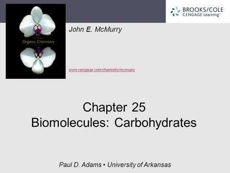 Chapter 25 Biomolecules: Carbohydrates