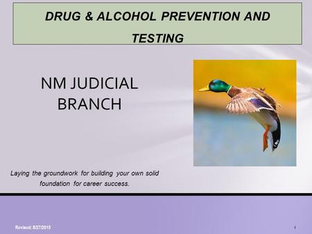 Laying the groundwork for building your own solid foundation for career success. NM JUDICIAL BRANCH Revised: 8/27/2015 1 DRUG & ALCOHOL PREVENTION AND.