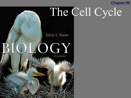 Biology, 9th ed,Sylvia Mader