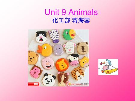 Unit 9 Animals 化工部 蒋海蓉. Contents Revise the animal signs 1 Listening 2 Reading 3 Explaining 4.