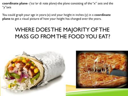 Where does the majority of the mass go from the food you eat?