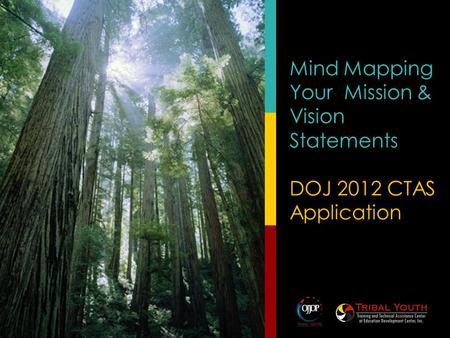 Mind Mapping Your Mission & Vision Statements DOJ 2012 CTAS Application.