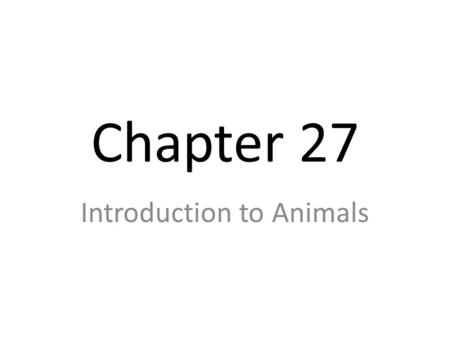 Introduction to Animals