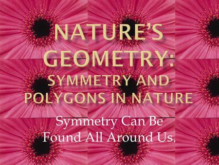 Symmetry Can Be Found All Around Us.. By Rebecca Dow, Sara Howard, Julie Russell, Jessie Buchheim, and Jordann Tomasek.