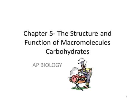 Chapter 5- The Structure and Function of Macromolecules Carbohydrates