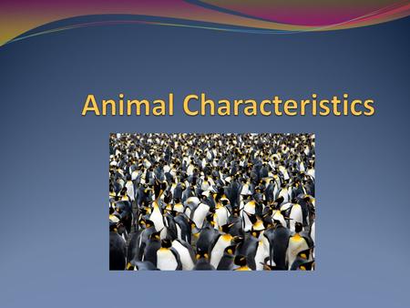 Characteristics of animals Feeding- Must consume food. Does not produce it’s own food. Heterotrophic Respiration- Takes in oxygen and gives off CO2 Circulation-Has.