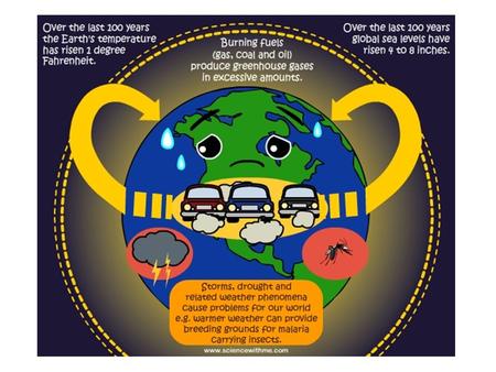 Renewable Energy Which energy source should we choose?