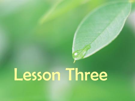 Lesson Three. 1. How do you feel? 2. Can human afford to lose all those Nature ? Nature Tour.