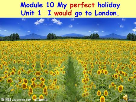 Module 10 My perfect holiday Unit 1 I would go to London.