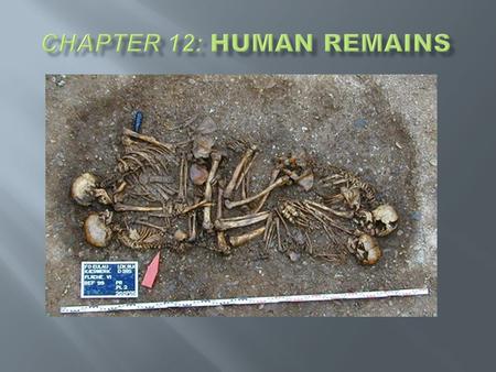 Chapter 12: Human Remains