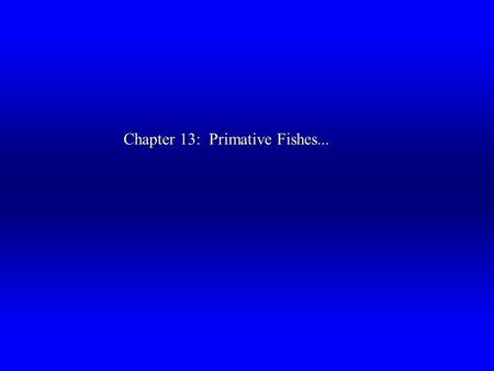 Chapter 13:  Primative Fishes...