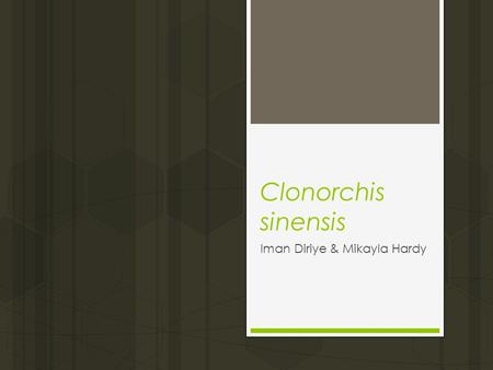 Clonorchis sinensis Iman Diriye & Mikayla Hardy. INTRODUCTION  Common name is the oriental liver fluke or chinese liver fluke.  Disease caused by infection: