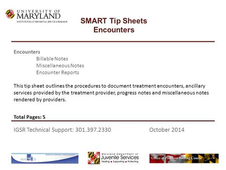 This tip sheet outlines the procedures to document treatment encounters, ancillary services provided by the treatment provider, progress notes and miscellaneous.