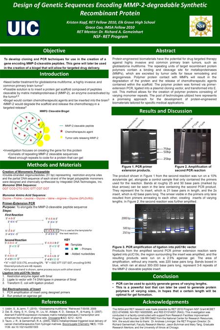 Kristen Kopf, RET Fellow 2010, Elk Grove High School Design of Genetic Sequences Encoding MMP-2-degradable Synthetic Recombinant Protein Kristen Kopf,