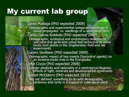 Connection My current lab group David Matlaga (PhD expected 2008)David Matlaga (PhD expected 2008) Demographic and experimental comparative ecology of.