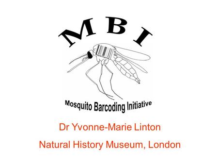 Dr Yvonne-Marie Linton Natural History Museum, London