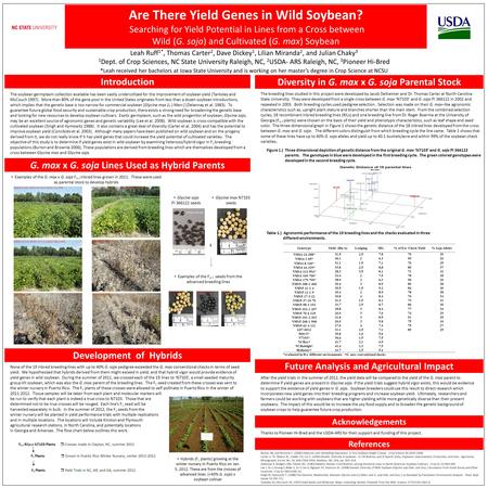 Development of Hybrids None of the 19 inbred breeding lines with up to 40% G. soja pedigree exceeded the G. max conventional checks in terms of seed yield.