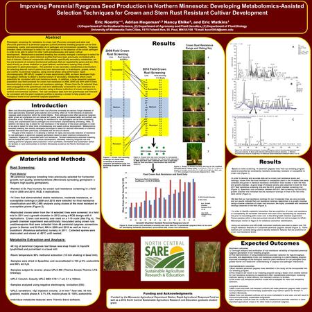 Improving Perennial Ryegrass Seed Production in Northern Minnesota: Developing Metabolomics-Assisted Selection Techniques for Crown and Stem Rust Resistant.