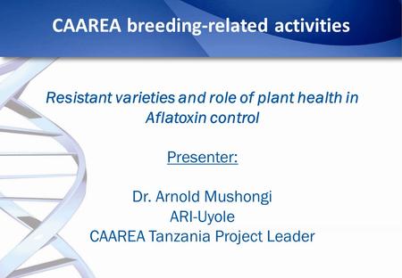 CAAREA breeding-related activities Resistant varieties and role of plant health in Aflatoxin control Presenter: Dr. Arnold Mushongi ARI-Uyole CAAREA Tanzania.