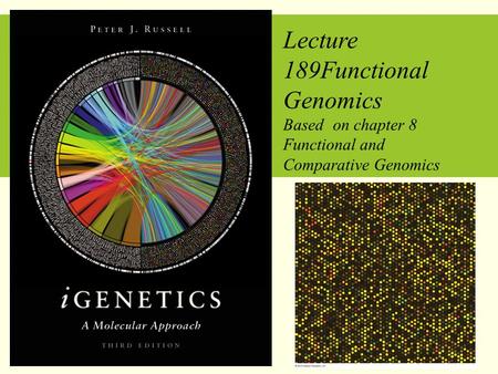 Lecture 189Functional Genomics Based on chapter 8 Functional and Comparative Genomics Copyright © 2010 Pearson Education Inc.