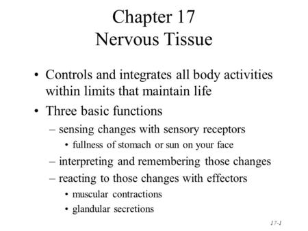 Chapter 17 Nervous Tissue