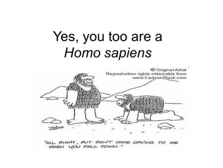 Yes, you too are a Homo sapiens