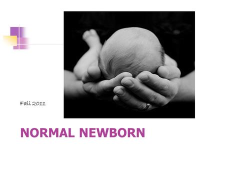 Fall 2011 Normal Newborn.