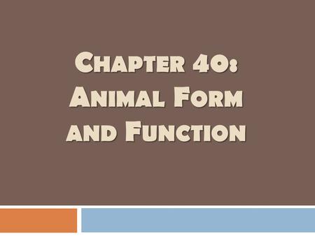 C HAPTER 40: A NIMAL F ORM AND F UNCTION. Essential Knowledge  2.a.1 – All living systems require constant input of free energy.  2.c.1 – Organisms.